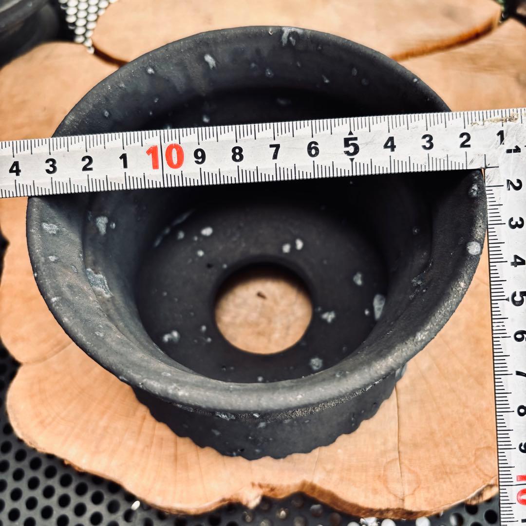 短期間限定大幅値下げ！新品未使用 菊地元野 作家鉢 アガベ パキプス グラキリス