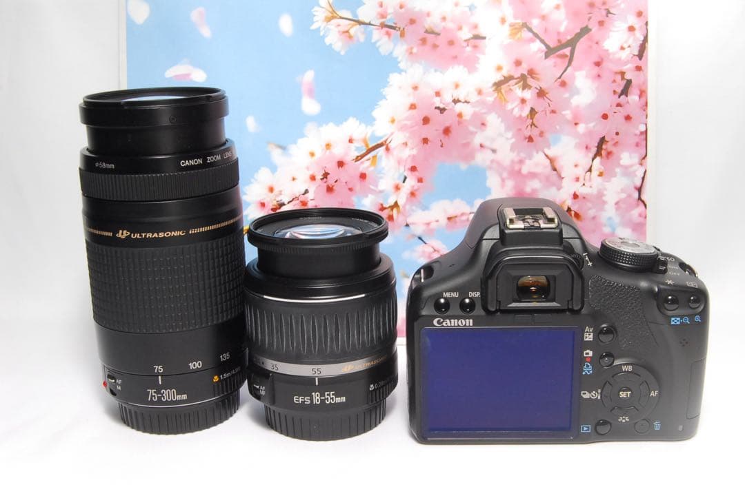 初心者オススメ⭐️ダブルレンズセット⭐️Canon Kiss X3⭐️EF75-300