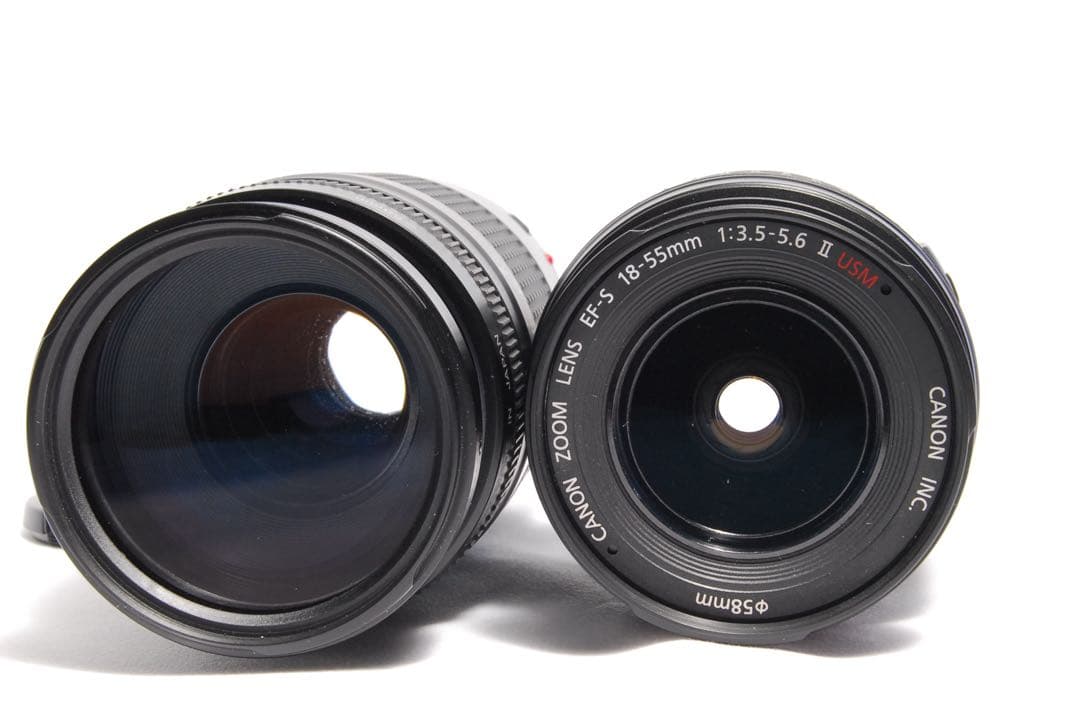 初心者オススメ⭐️ダブルレンズセット⭐️Canon Kiss X3⭐️EF75-300