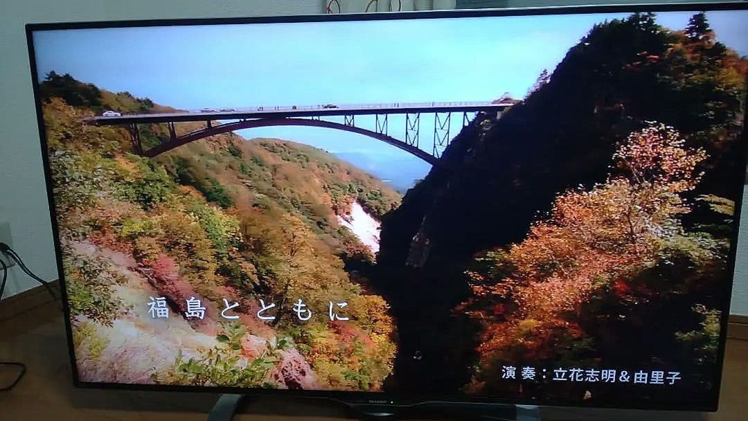 限界値下げ！送料込み！SHARP 4k液晶テレビ 50インチ