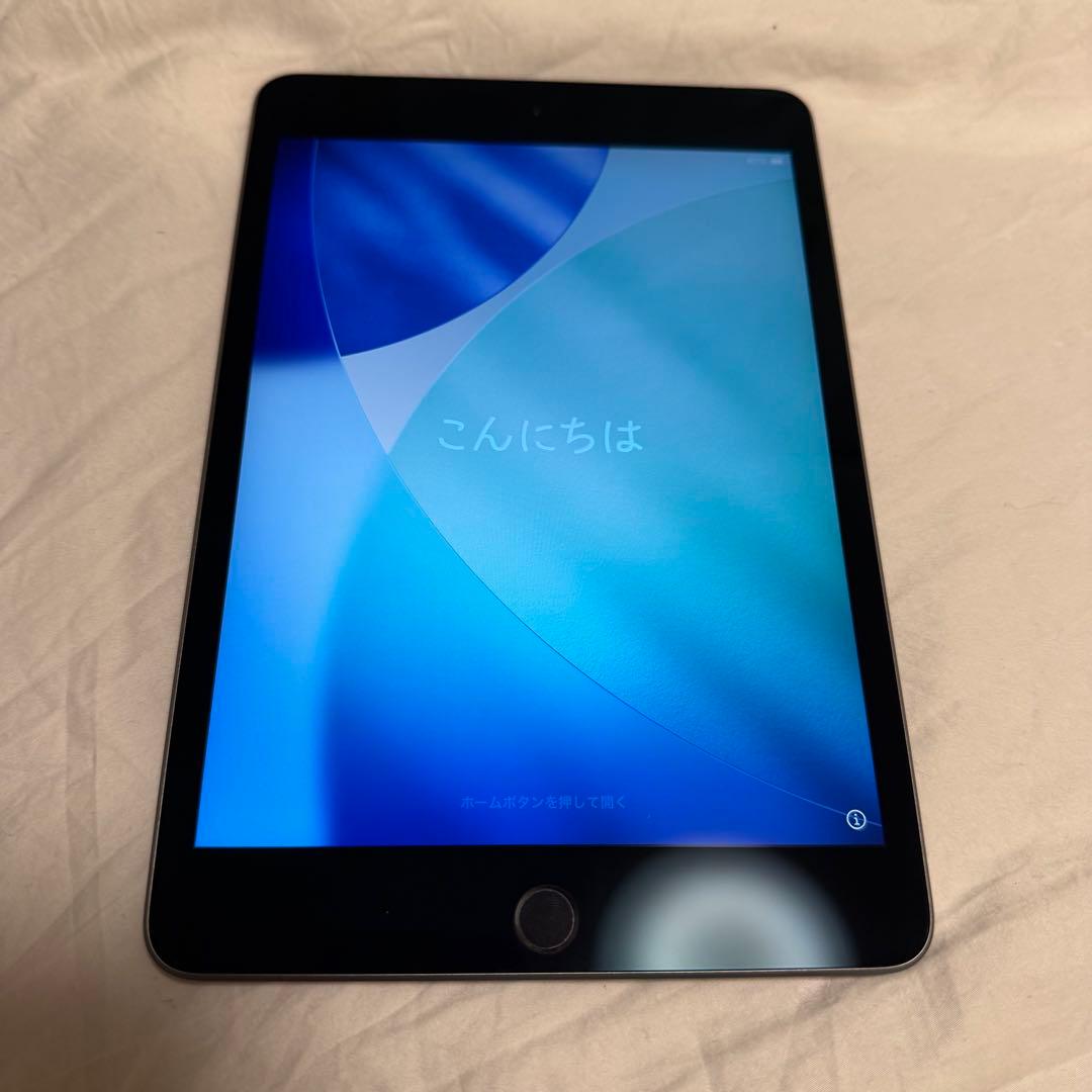 iPad mini 第5世代 256GB Wi-Fi＋Cellular スペース