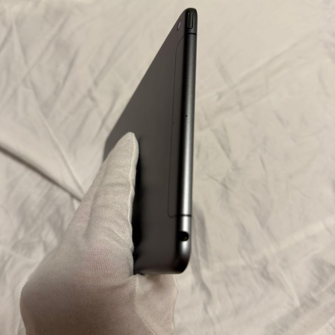 iPad mini 第5世代 256GB Wi-Fi＋Cellular スペース