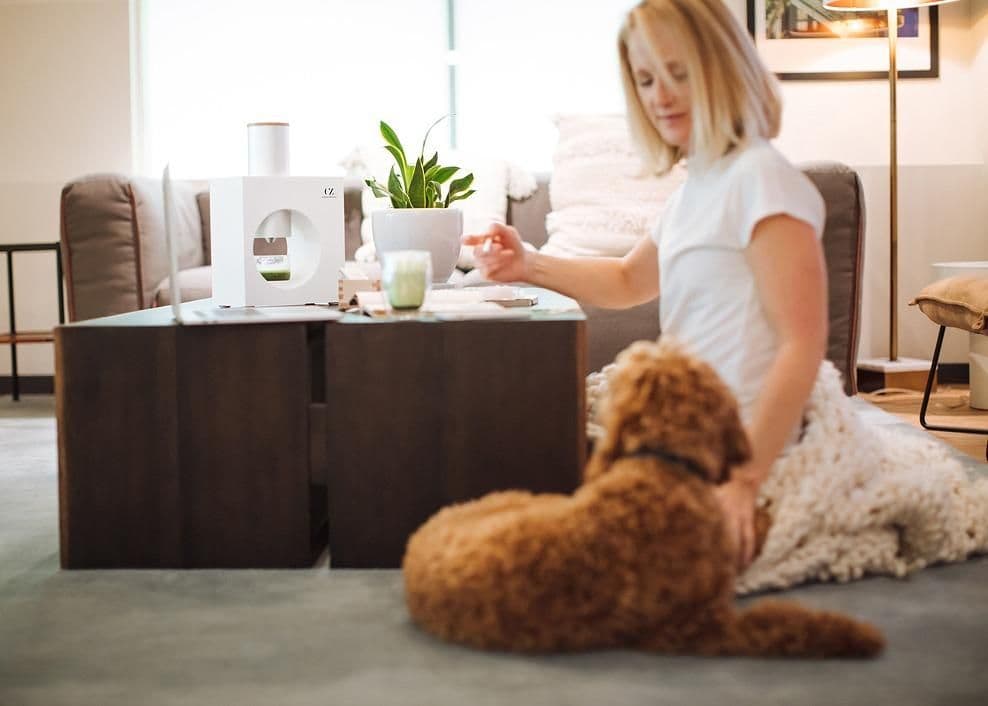 Cuzen Matcha(空禅抹茶) MATCHAスターターキット