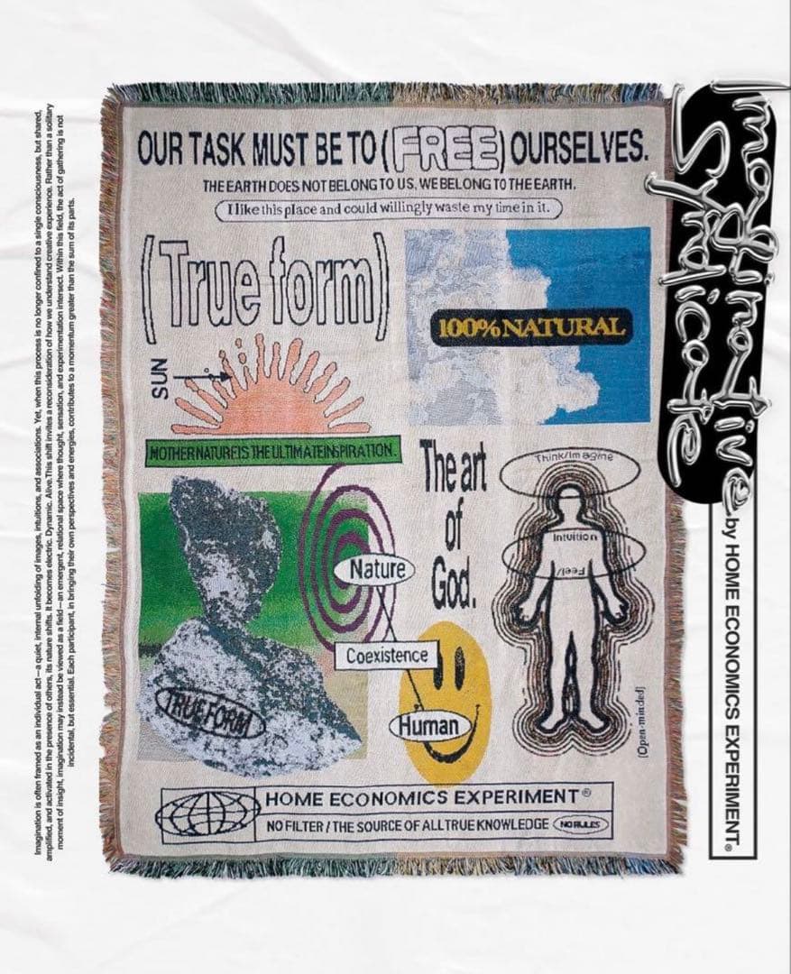  ECONOMICS EXPERIMENT ラグ　マット