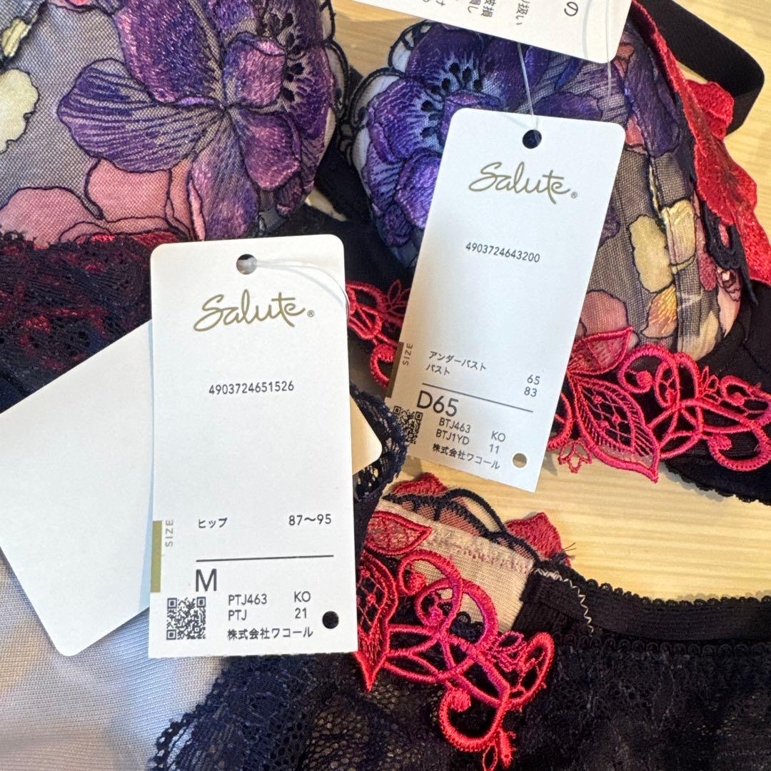 Salute ブラジャーショーツセット D65 63グループ