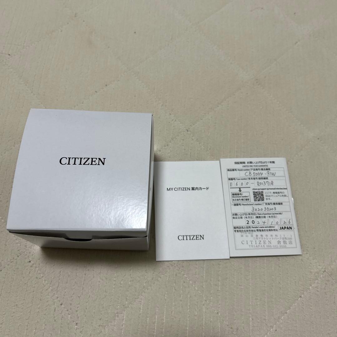 CB5034-91W CITIZEN シチズン プロマスター LAND