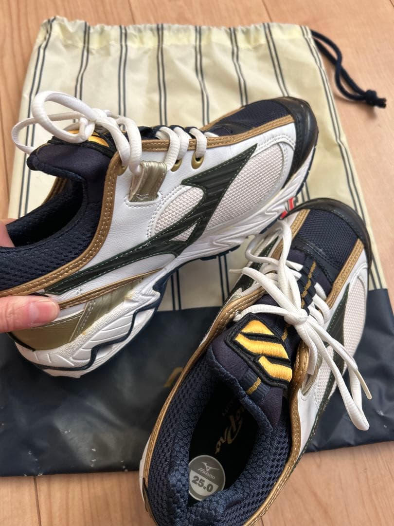 激レア！長嶋茂雄モデル　トレーニングシューズ　野球