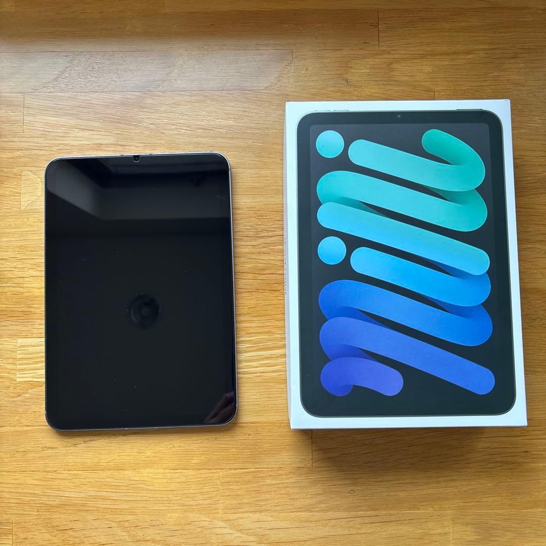 iPad mini (A17 Pro) セルラーモデル 美品