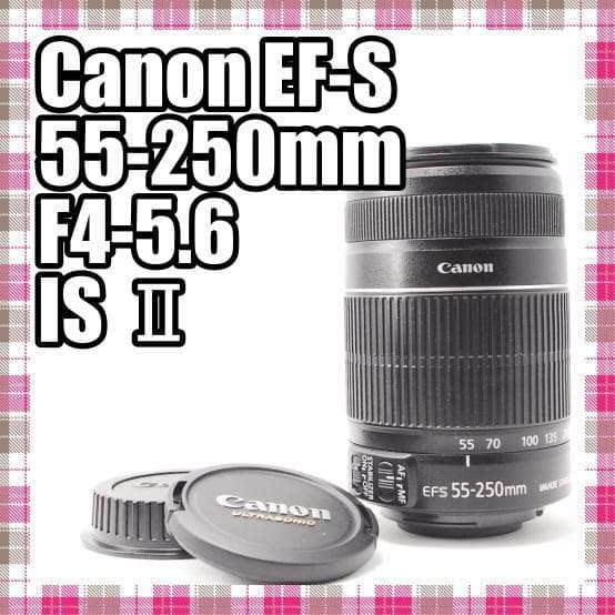 ✨手振れ補正✨Canon EF-S 55-250mm F4-5.6 IS Ⅱ