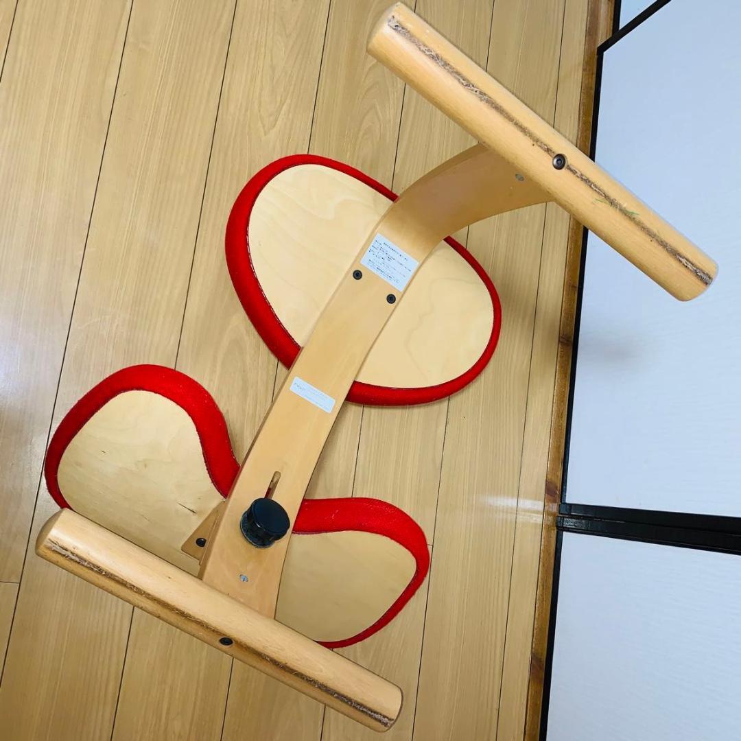 バランスチェア バランスイージー リボ社 バランスチェア バランスチェア