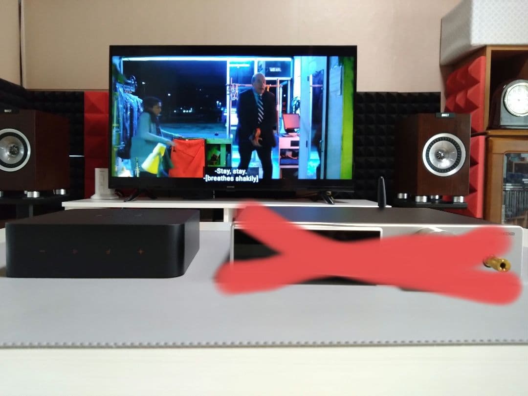 Wiim Pro　ミュージックストリーマー