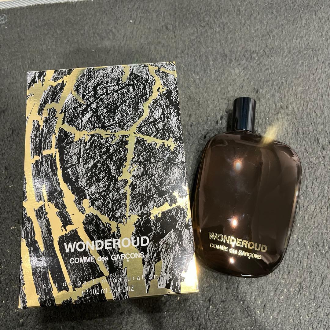 香水(男性用) COMME des GARCONS WONDEROUD 100ml