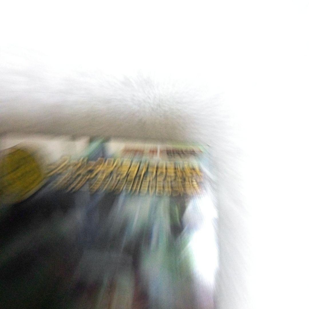 ムシキングカード