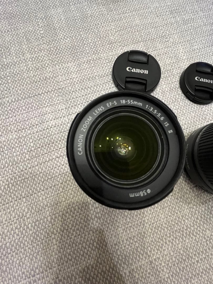 Canon EOS Kiss X5 + 単焦点レンズ