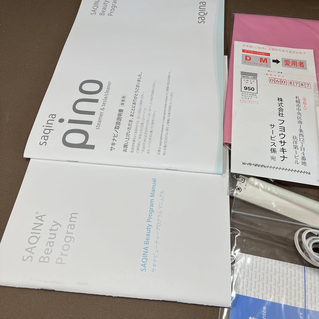 サキナピノsaqinapinoスチーマー クリーナー テスラー