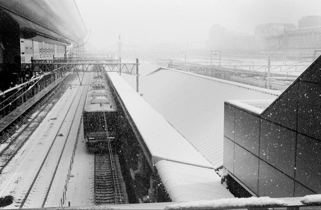 ライカⅢf レッドシンクロ + 外付けセルフタイマー