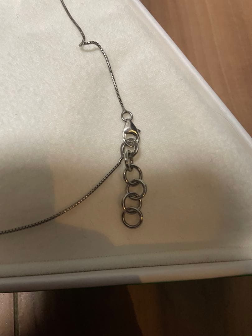 BOTTEGA VENETA チェーンネックレス　silver925