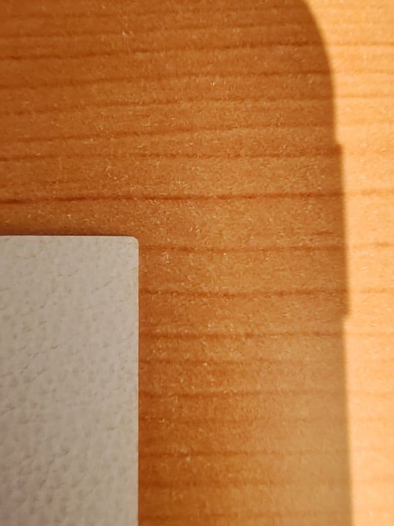 スラムダンク カードダスマスターズ 流川楓#31