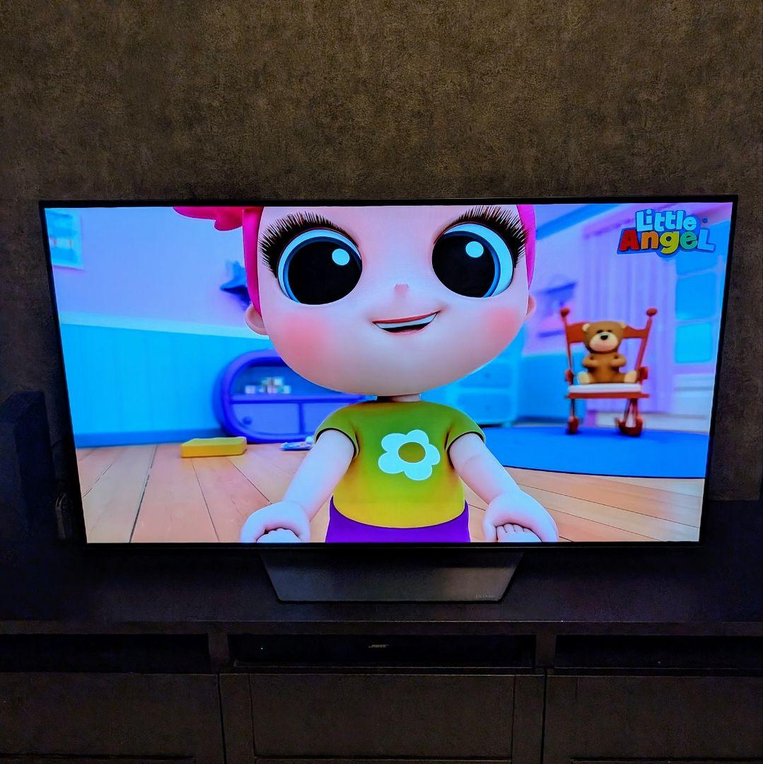 LG 55V 有機ELテレビ 2020年製 送料無料(本州のみ) 訳あり