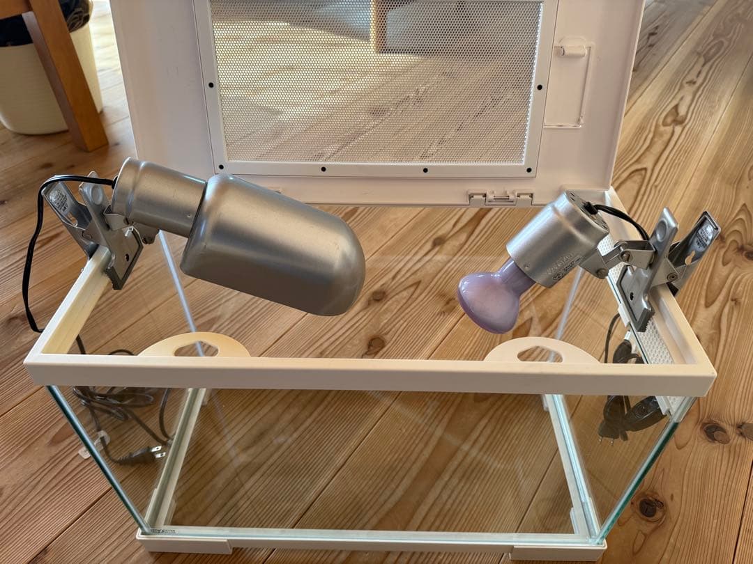 爬虫類　飼育セット　エキゾテラ