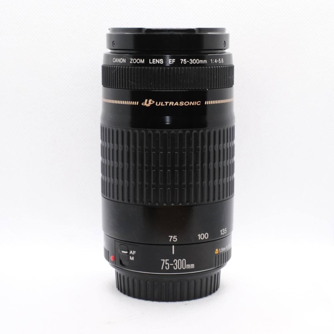 ✨美品✨超望遠✨イベントに Canon EF75-300㎜ 望遠レンズ
