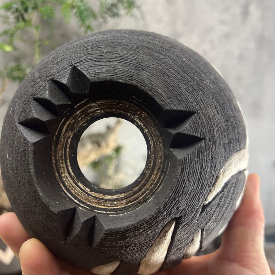 手作植木鉢 Lサイズ 検（ 塊根植物 グラキリス パキプス アガベ)