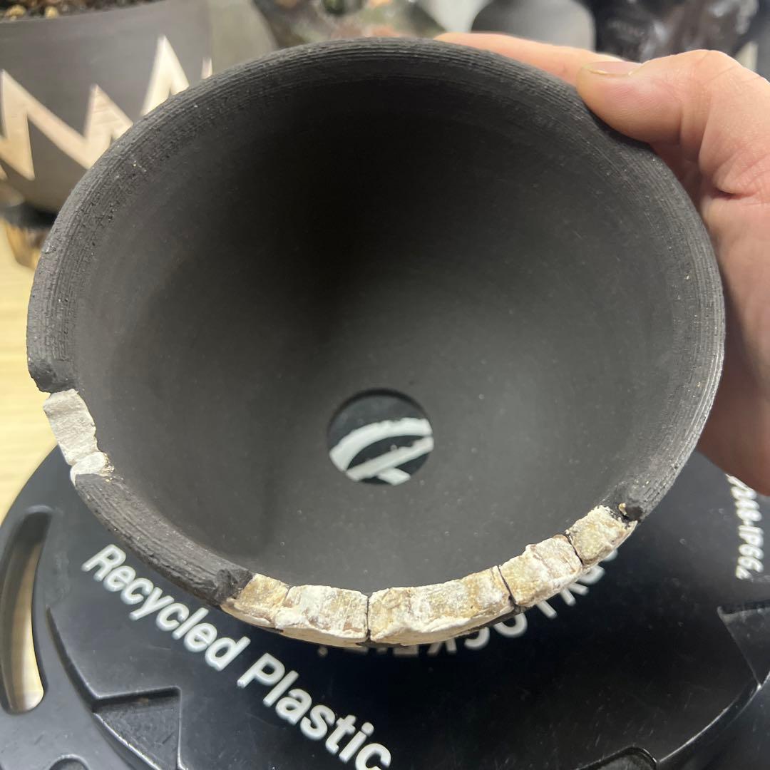 手作植木鉢 Lサイズ 検（ 塊根植物 グラキリス パキプス アガベ)