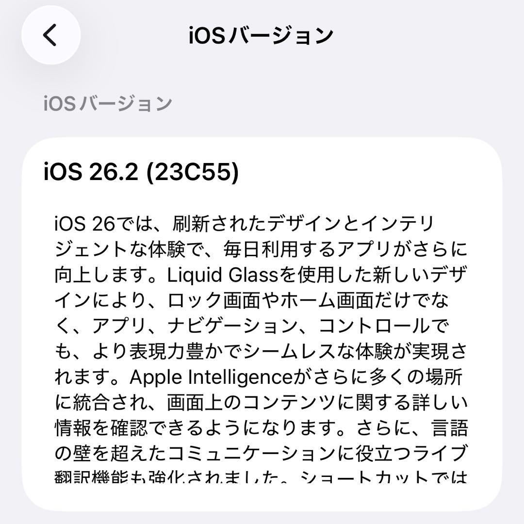 〈ジャンク〉iPhone13Pro｜256GB｜アルパイングリーン｜本体