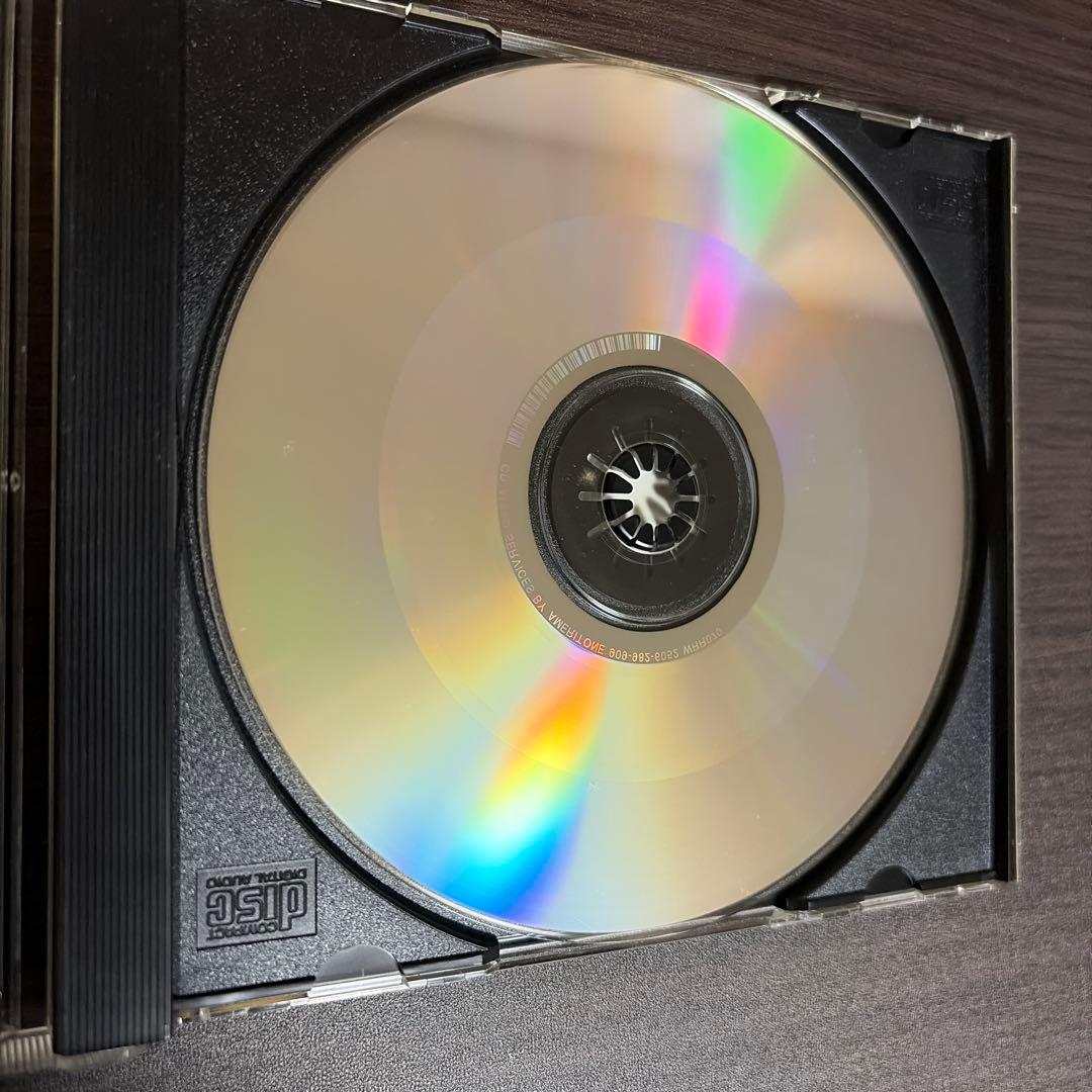 洋楽 Torture krypt/rotted remnans