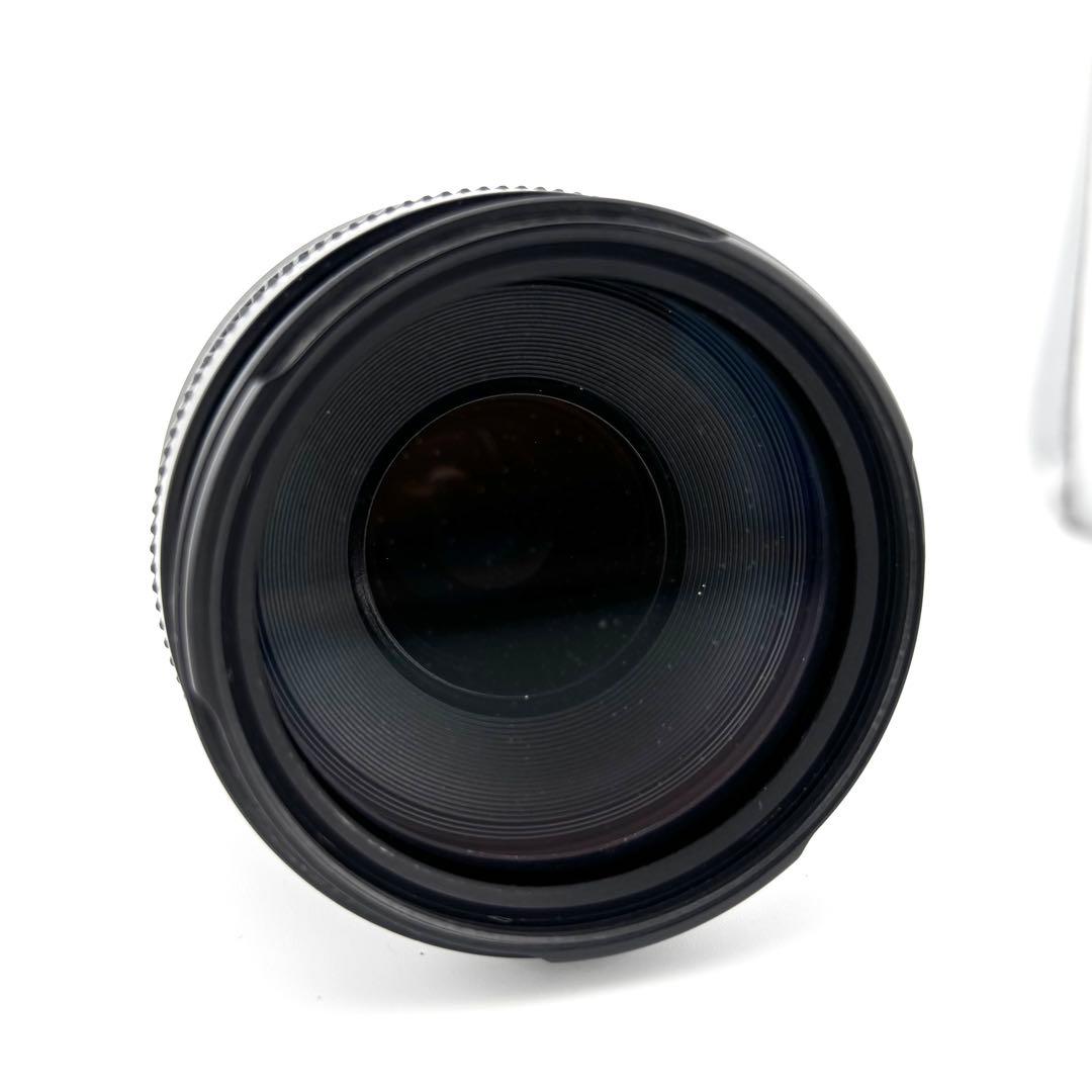 【完動品】Canon EF 75-300mm F4-5.6 II キャノン