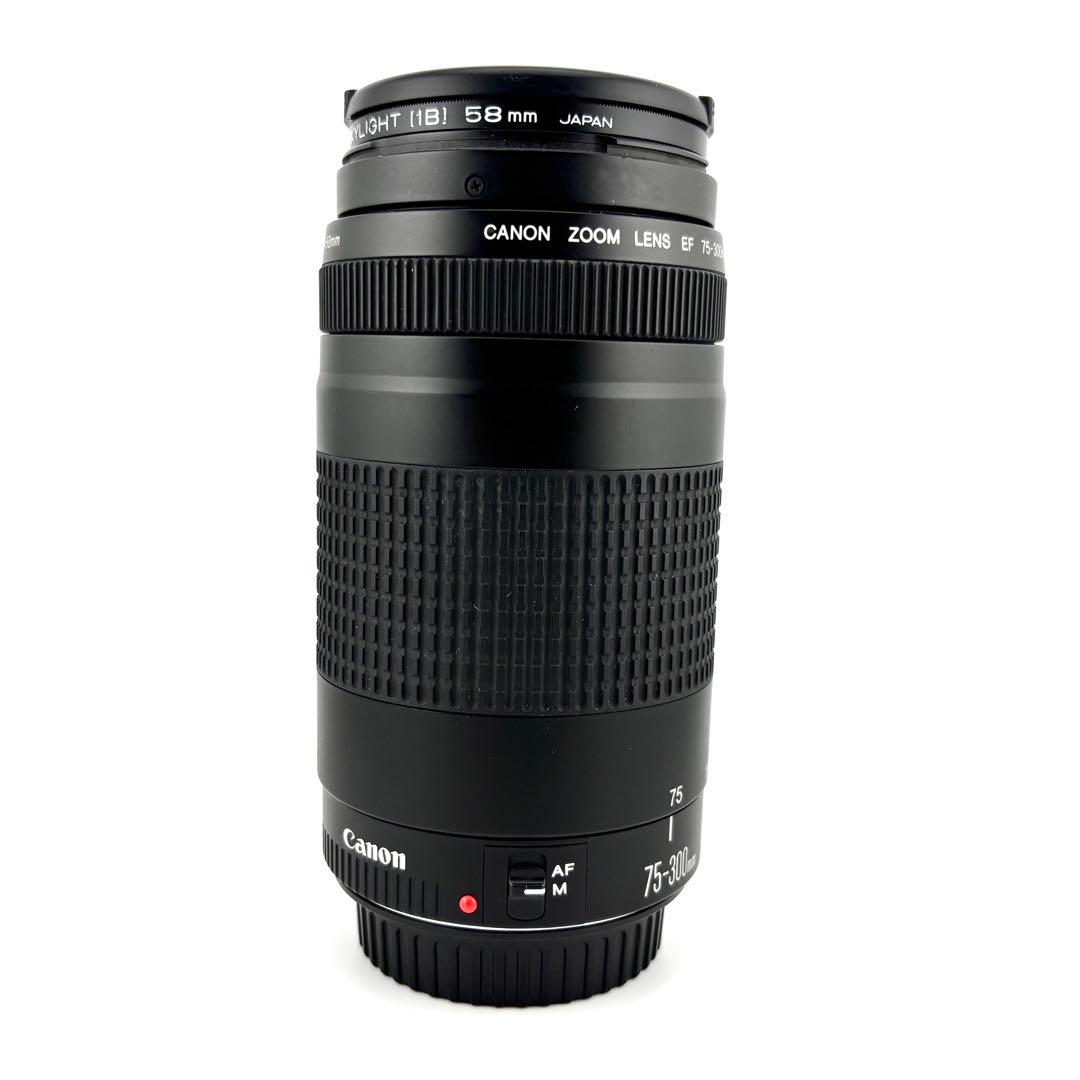 【完動品】Canon EF 75-300mm F4-5.6 II キャノン