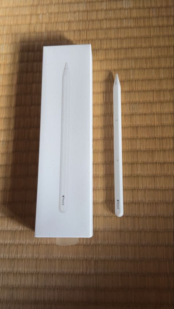 Apple iPad Pro スペースグレー 本体 3点セット