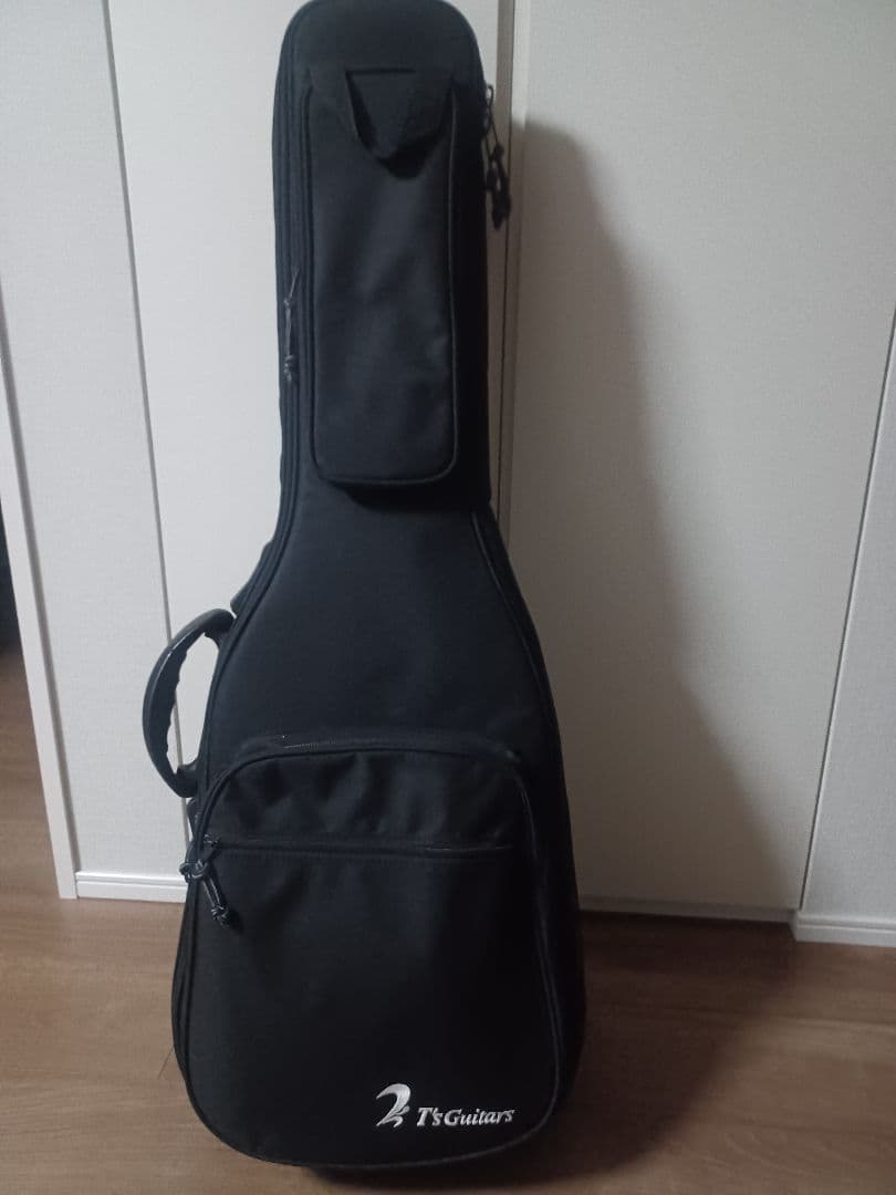 【こんにちは】T's Guitars DST-DX22