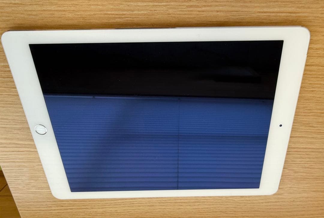 Apple iPad air2シルバー 本体のみ