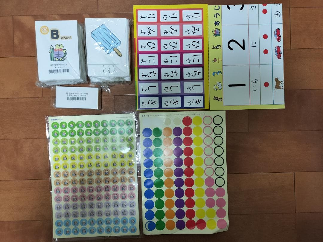 四谷学院　療育55段階プログラムB