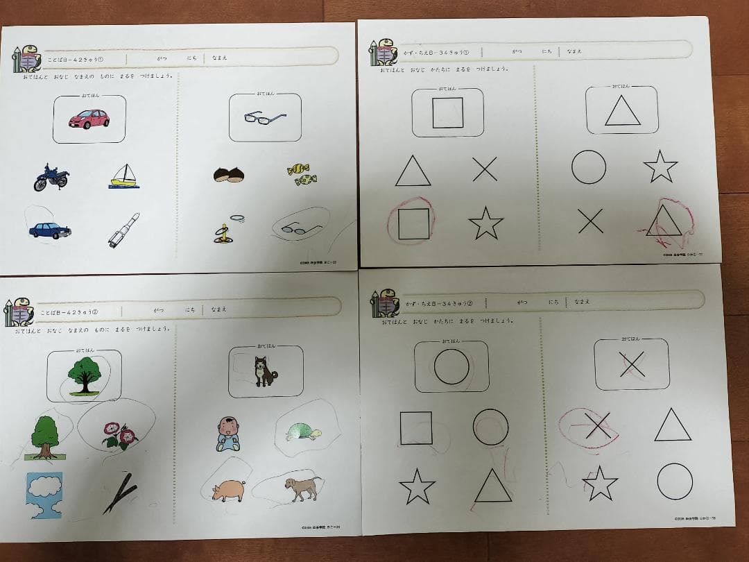 四谷学院　療育55段階プログラムB