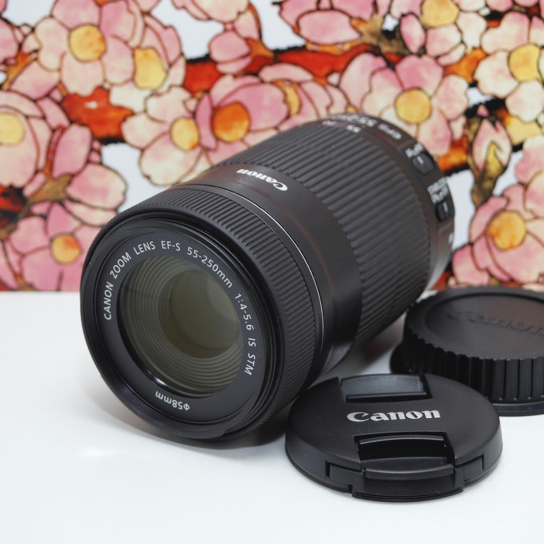 ❤️高性能望遠レンズ❤️Canon EF-S 55-250mm IS STM❤️