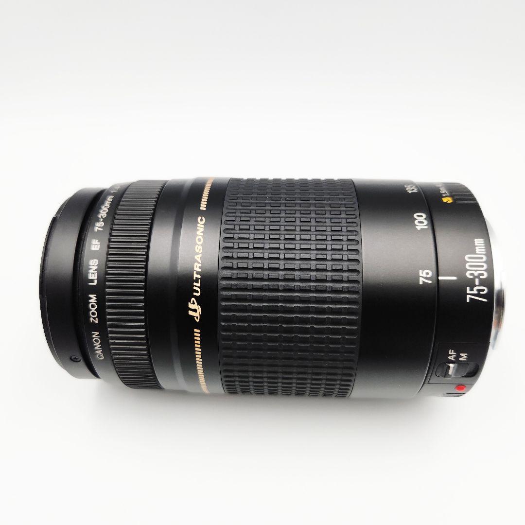 Canon EF 75-300mm 1:4-5.6 Ⅱ ズームレンズ カメラ