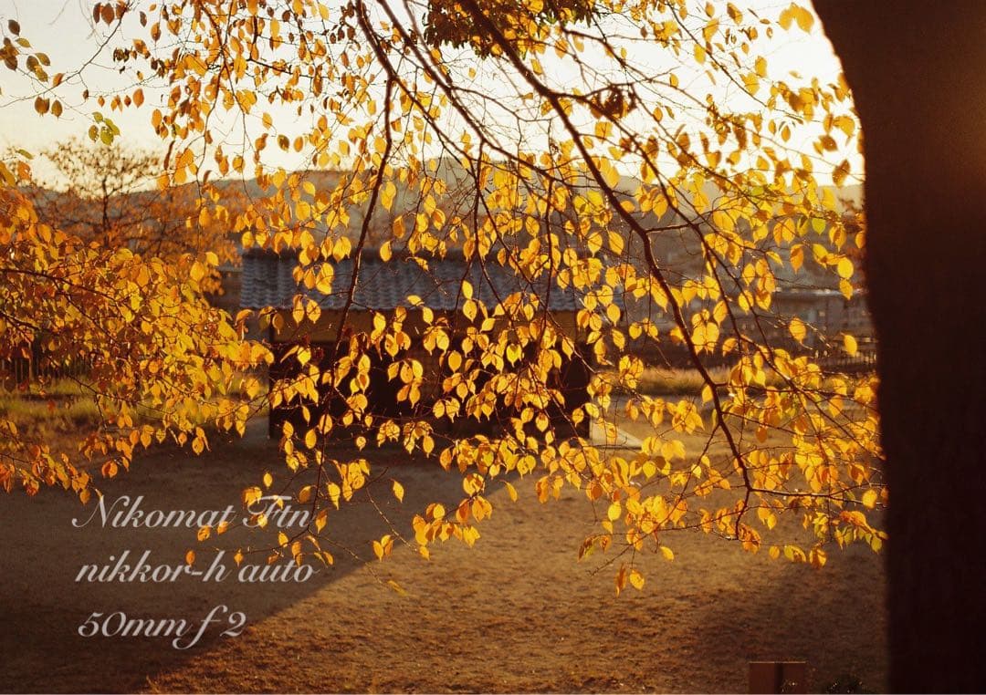 nikon ftn＊black＊50mm f2★完動品＊初期保証＊作例多数！