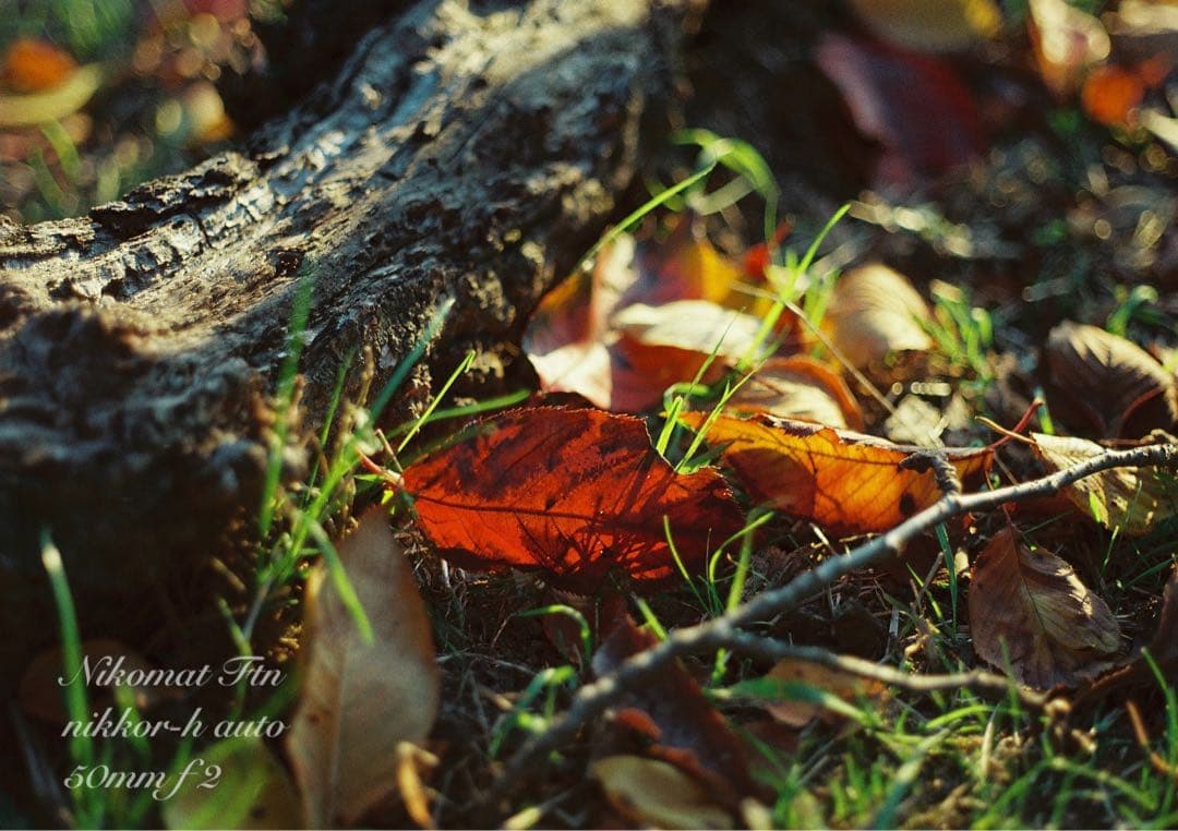 nikon ftn＊black＊50mm f2★完動品＊初期保証＊作例多数！