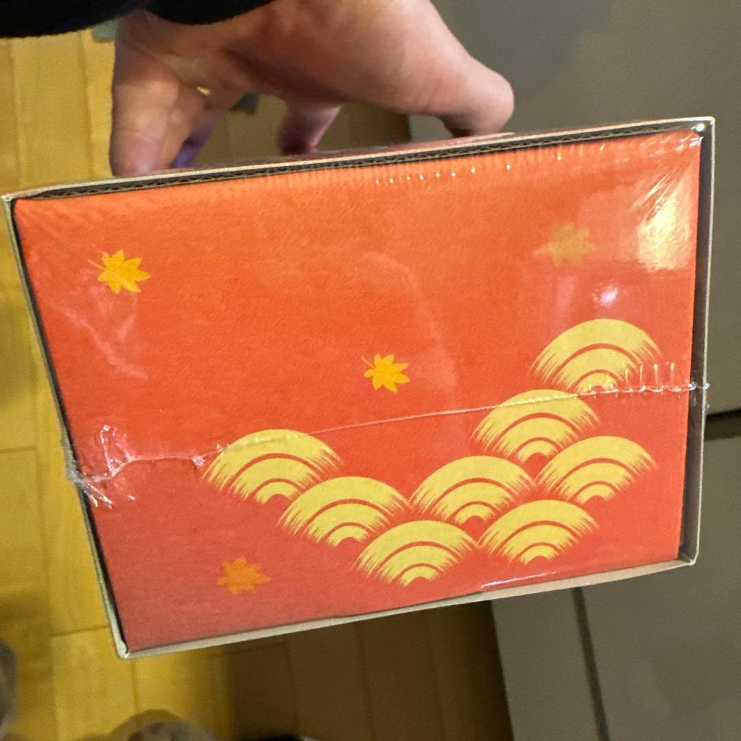 ポケモン　センター　ヒロシマ　スペシャルBOX 新品未開封