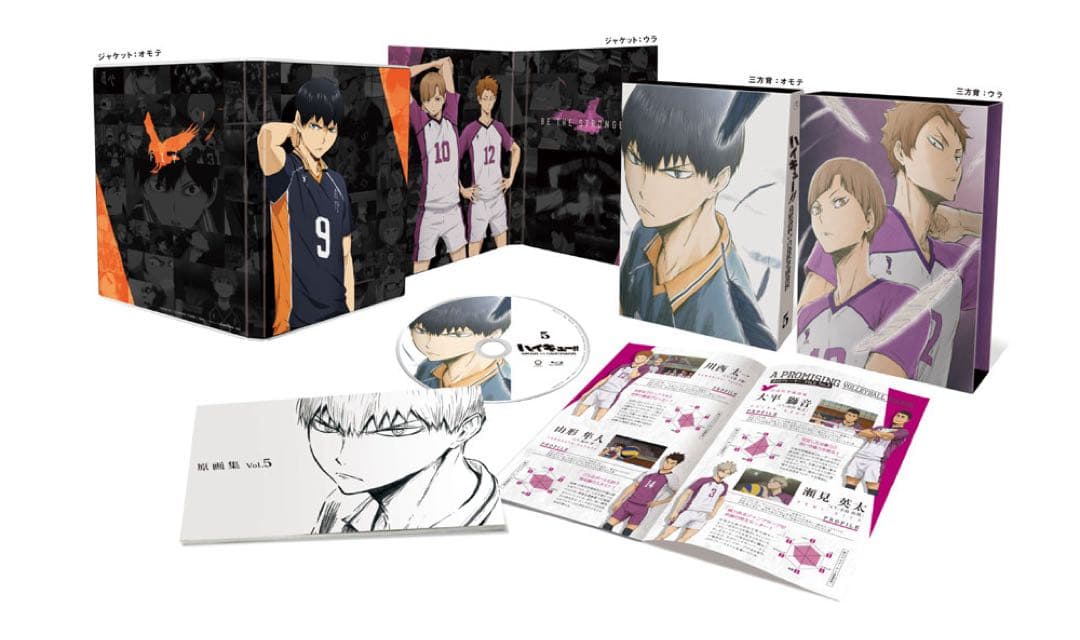 ハイキュー!! DVD 烏野高校vs白鳥沢学園高校全巻セット オリジナル特典付