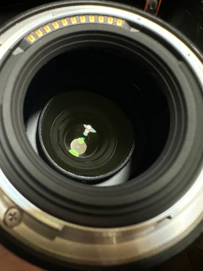 NIKKOR Z 24-70mm f/4 S 美品