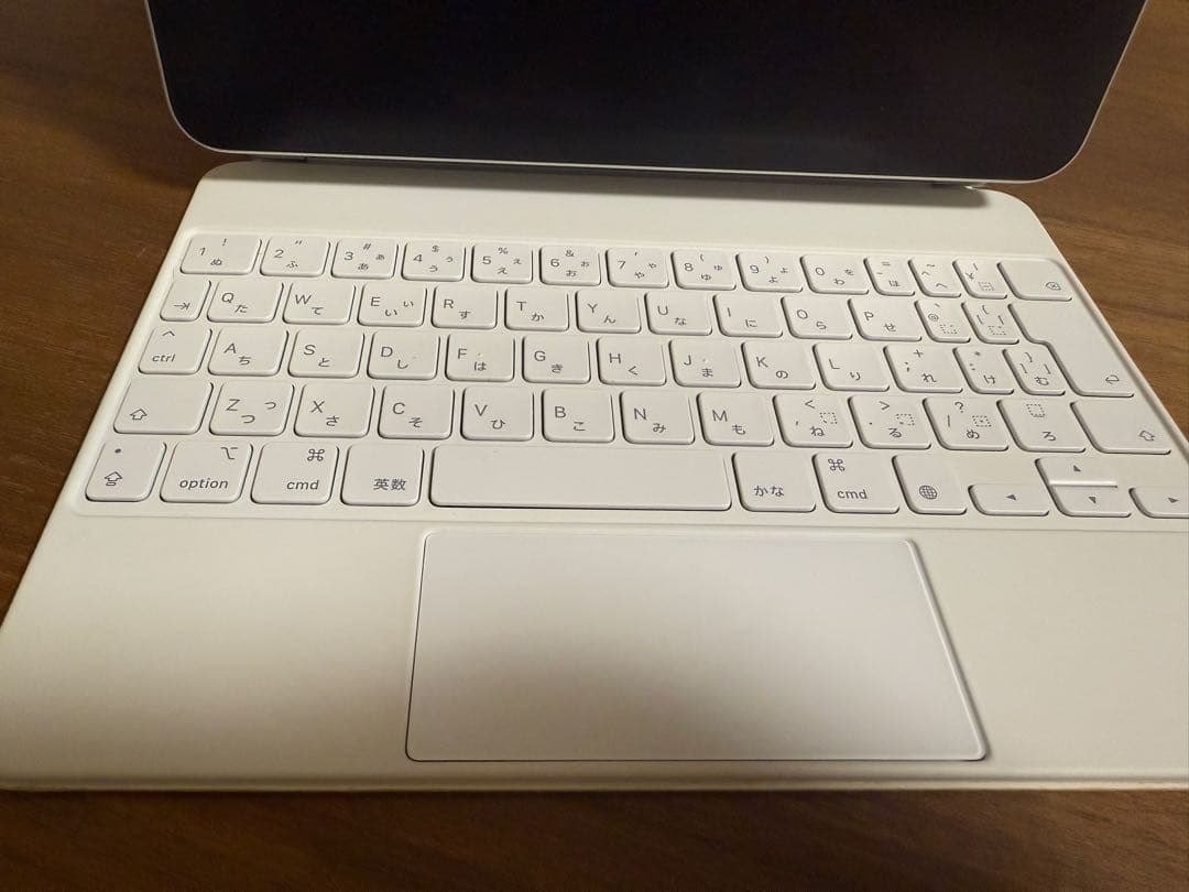 iPad Pro 11inch 第3世代 256GB