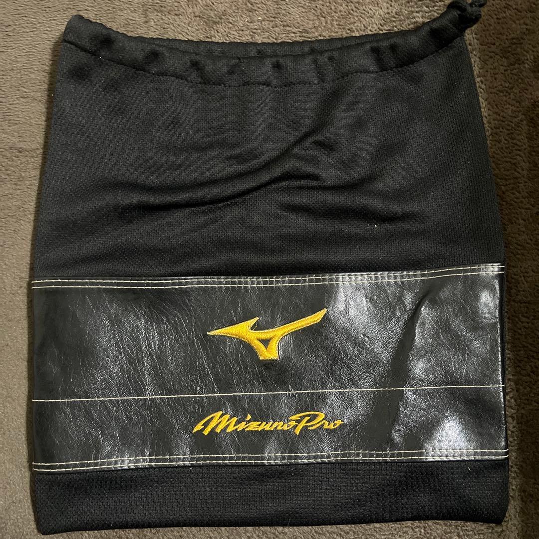 ミズノプロ　キャッチャーミット