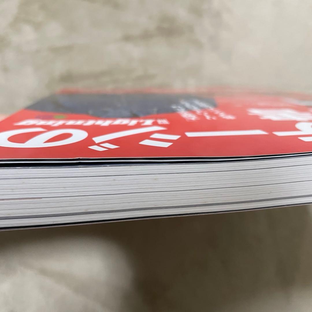 ヴィンテージの教科書完全版 lightning