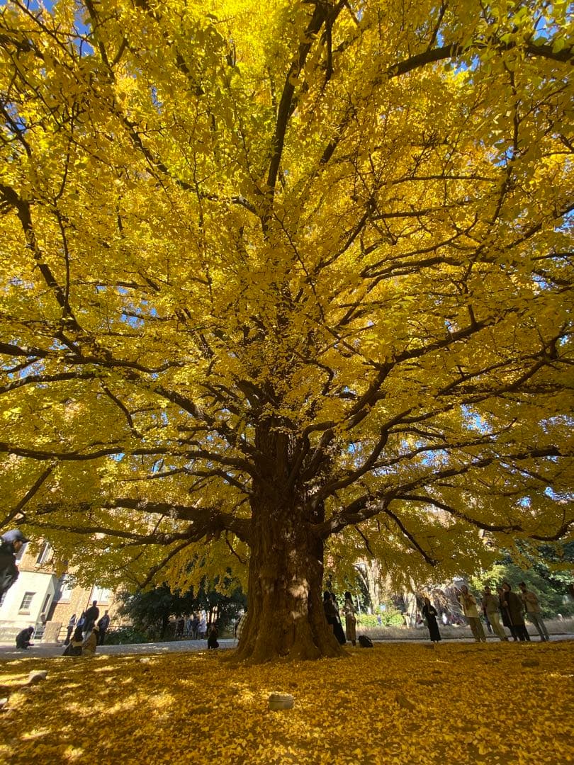 kuro 　カシオ G-SHOCK GMW-B5000D-1JF デジタル