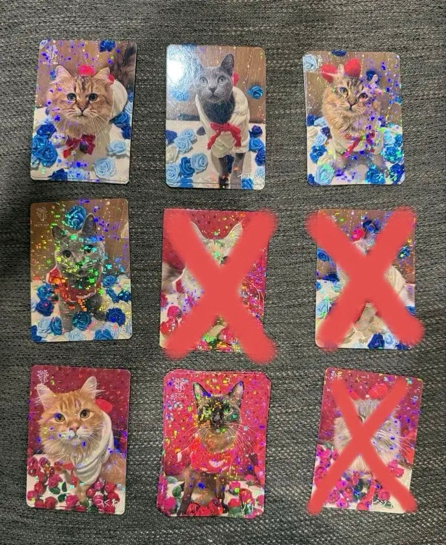 【バラ売り可】にゃんずトレカ松本店 2025