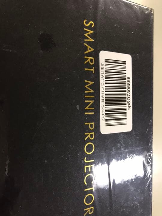 PTVDISPLAY ピコポケットミニプロジェクター