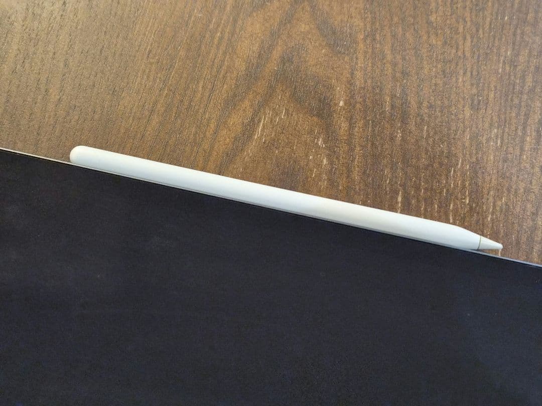 【ペンシル付】スペースグレイ Apple iPad Pro 11インチ